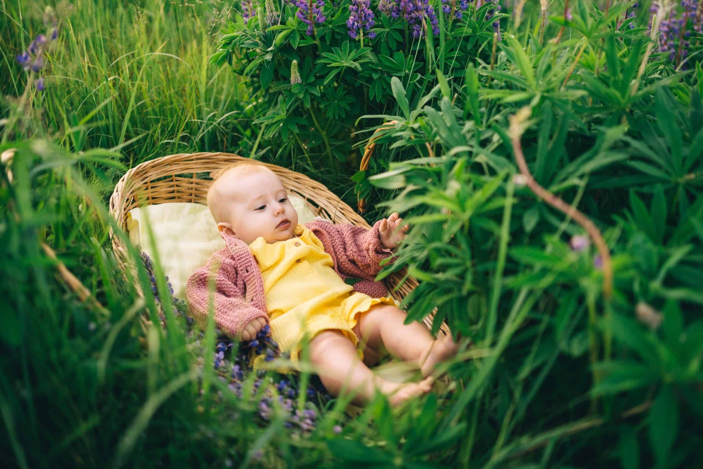 baby-girl-in-a-wicker-basket-in-a-green-field-flow-2025-01-09-01-01-00-utc-scaled