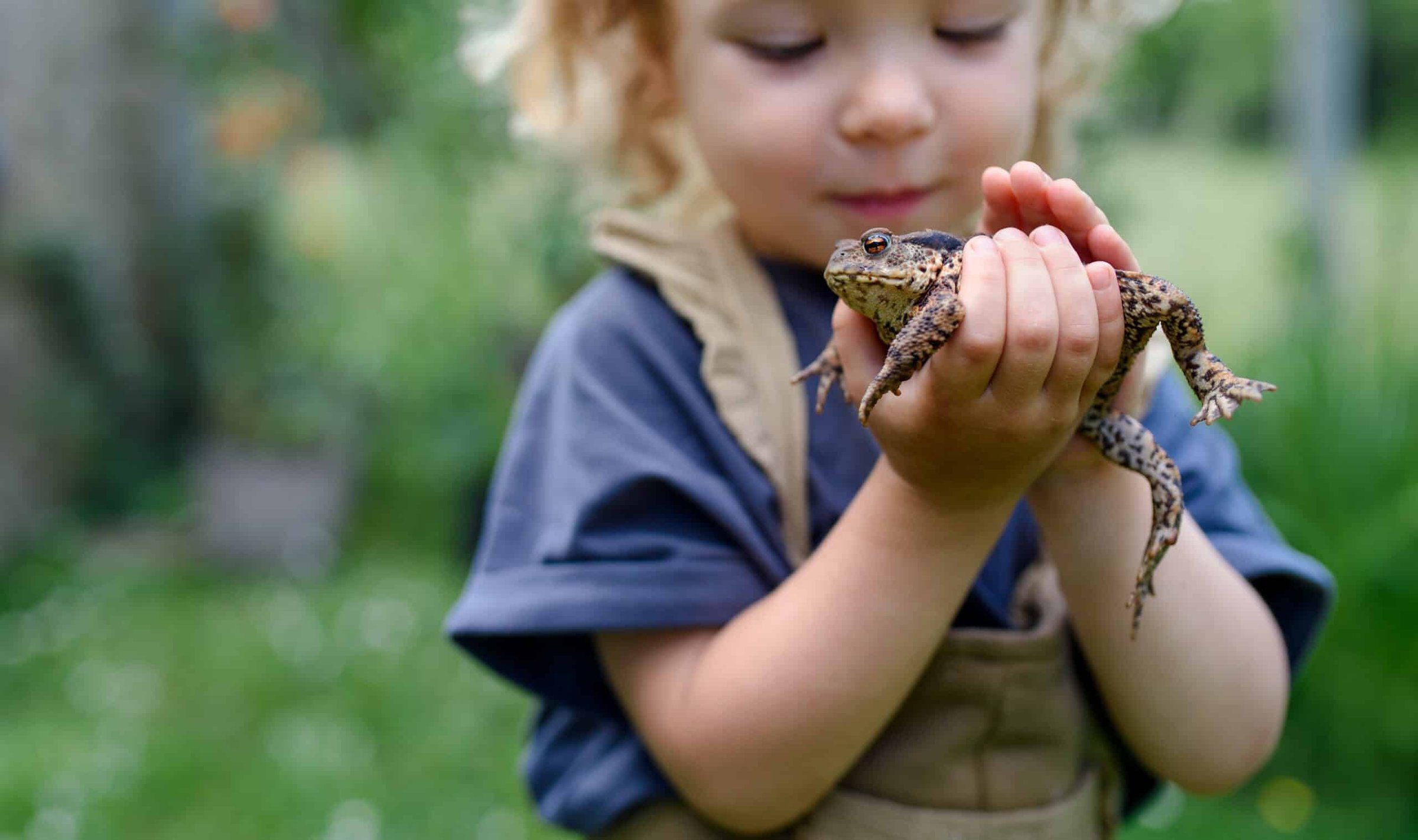 close-up-portrait-of-small-girl-holding-a-frog-out-2024-10-18-08-58-37-utc-scaled