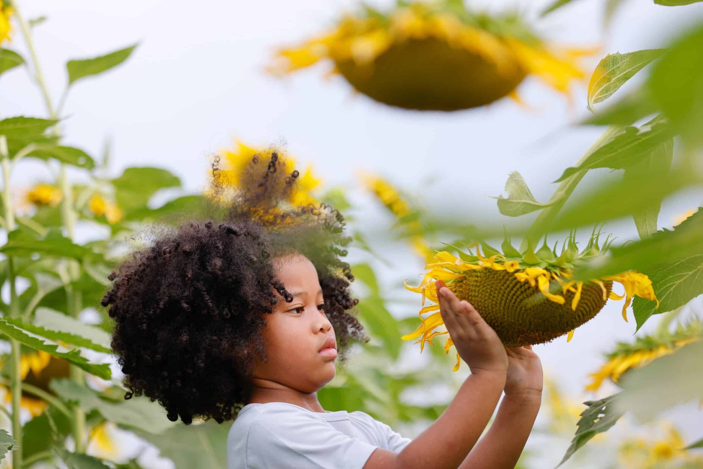 little-african-american-curly-hair-girl-interested-2024-12-07-19-58-20-utc-scaled