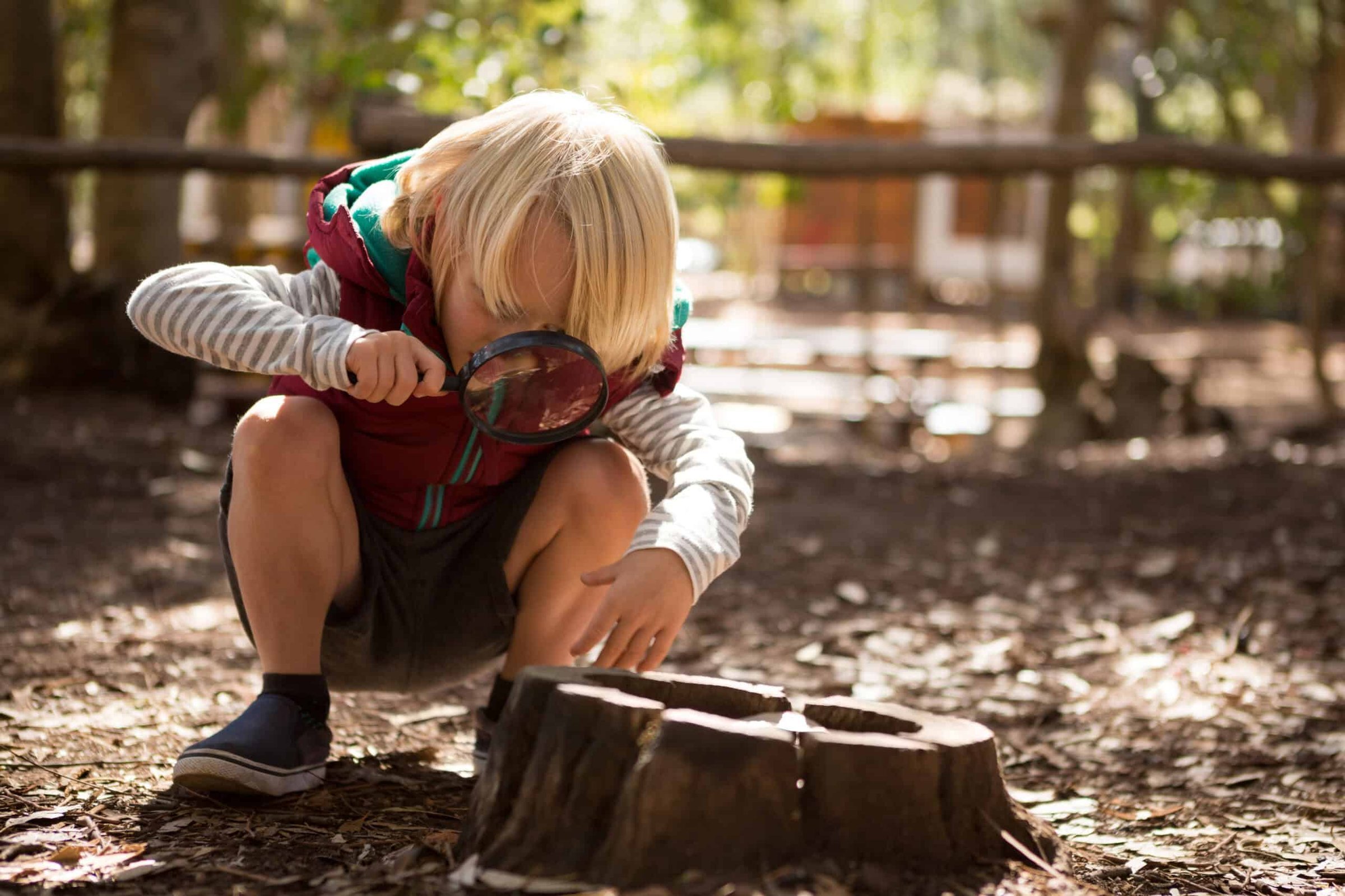 little-girl-exploring-the-nature-through-a-magnify-2025-04-04-11-10-58-utc-scaled