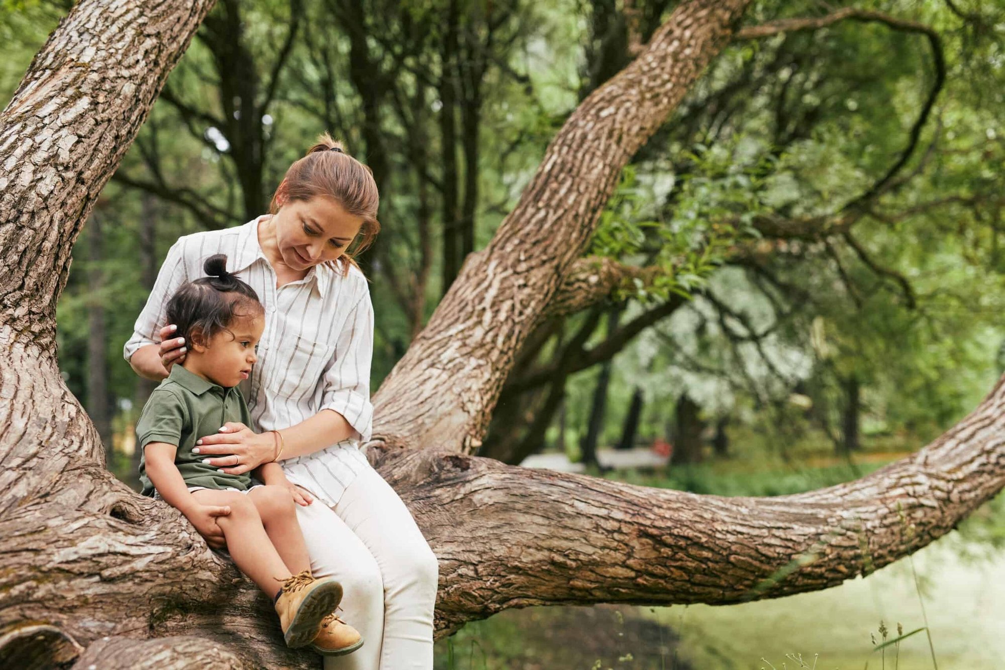 The Families That Bend Without Breaking