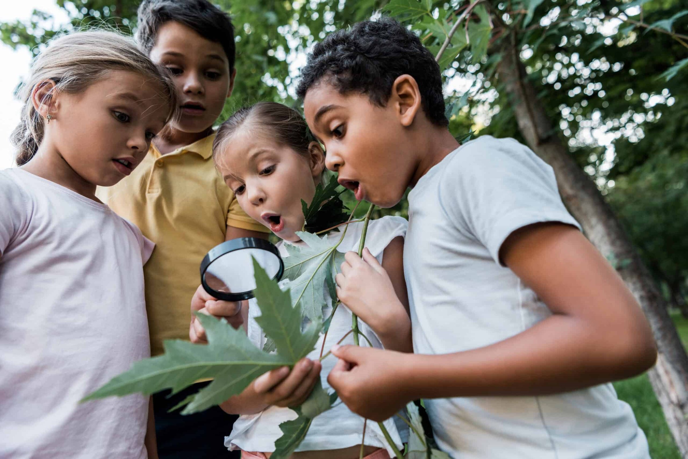shocked-multicultural-children-looking-at-green-le-2024-11-17-14-34-16-utc-scaled