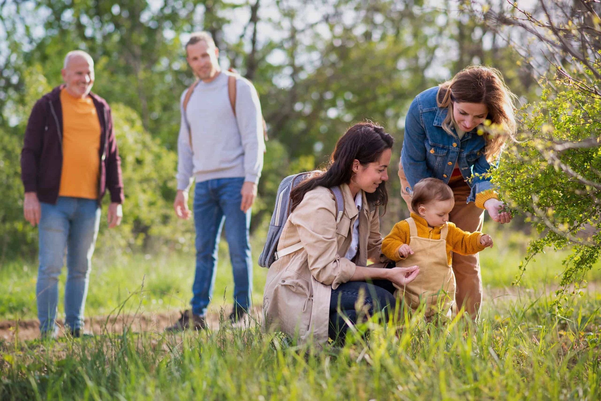 small-toddler-with-parents-and-grandparents-on-a-w-2024-10-21-22-14-26-utc-scaled