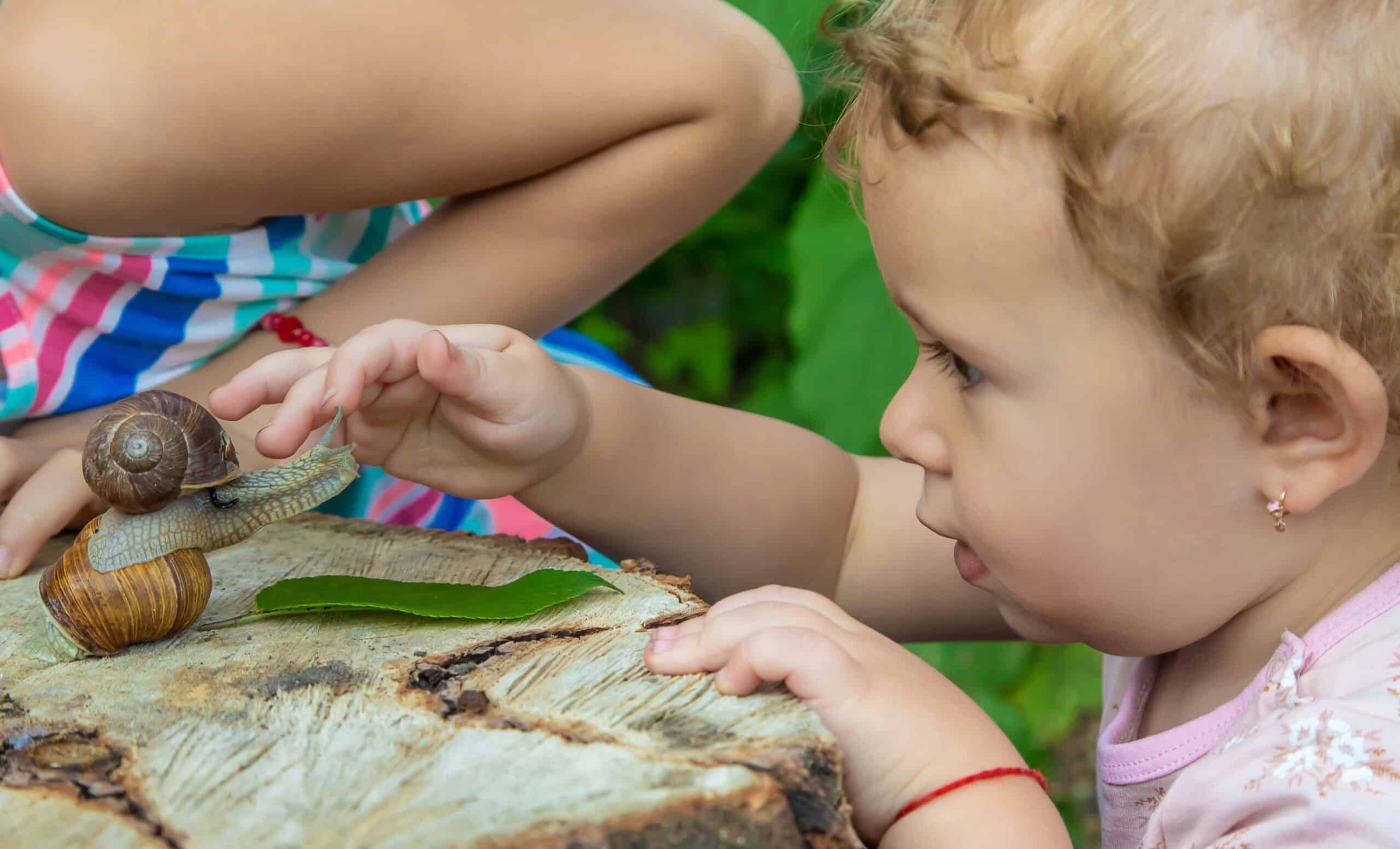 the-child-examines-the-snails-on-the-tree-selecti-2024-12-19-17-47-56-utc-scaled