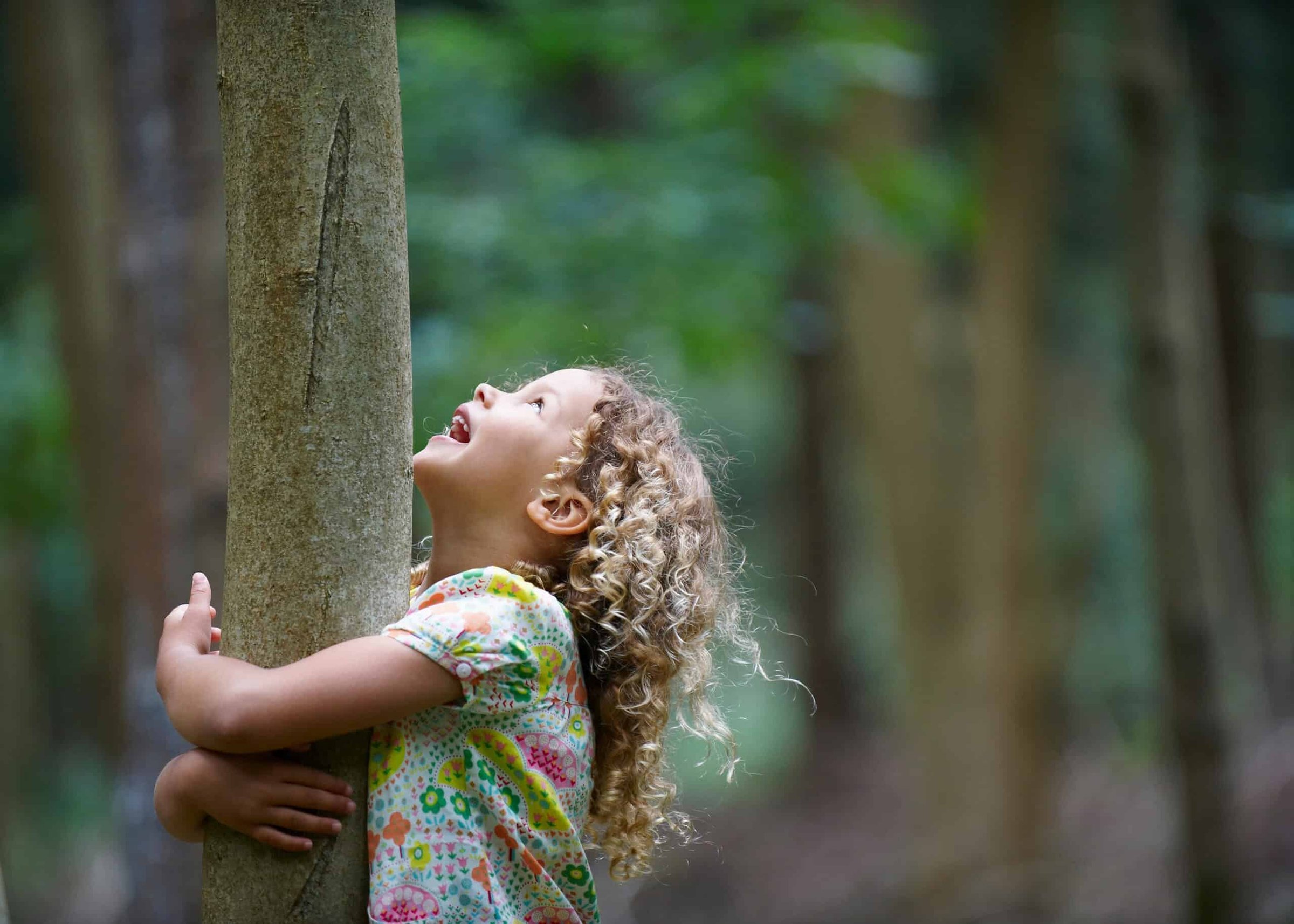 young-girl-hugging-tree-looking-up-2024-10-20-10-45-54-utc-scaled